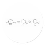 2-Pyridone Chemical Synthesis 1 Sticker