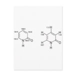 2-Pyridone NMR Post Card