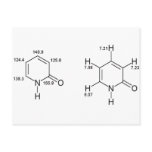 2-Pyridone NMR Post Cards