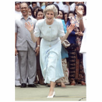 2 - Royal Wedding Diana's Joy Photo Cutouts