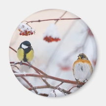 2 sparrows refrigerator magnets