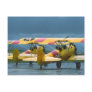 2 Stearman Postcard