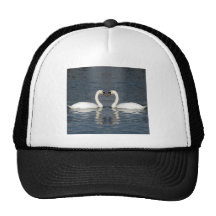 2 Swans Hat