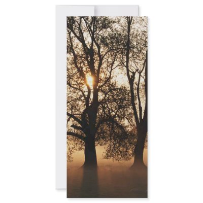 2 TREES SEPIA GOLD ORANGE by VoXeeD