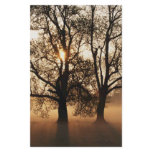 2 TREES SEPIA GOLD ORANGE stationery