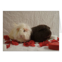 2 Valentines de cobaye Cartes De Vœux