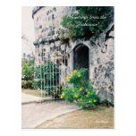 2a-mine, Greetings from the Bahamas!, Julie Henkle Post Card
