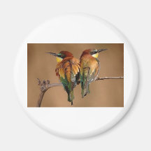 2birds refrigerator magnet