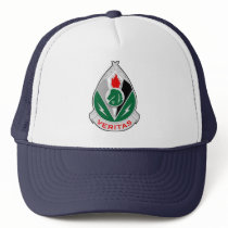 2d Psychological Operations Group DUI Trucker Hat