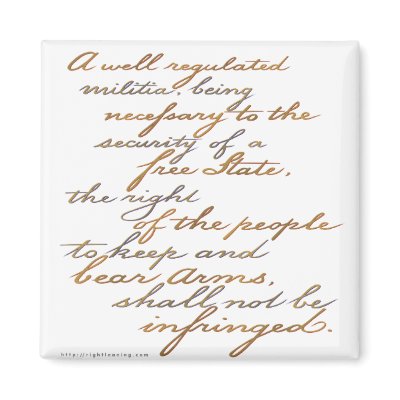 2nd amendment script fridge magnets by rightleaning