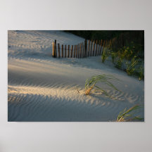 2nd beach Sand Dunes Print