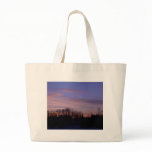 30 January 2010 Bag