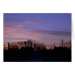 30 January 2010 Greeting Cards