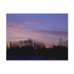 30 January 2010 Postcard