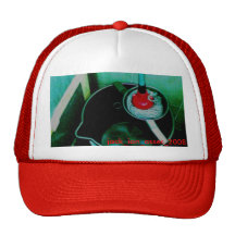 31012008(001)-001, jack_ian_asses_2008 mesh hat