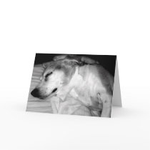 311 I MISS YOU CARD