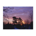 31 January 2010 Postcards
