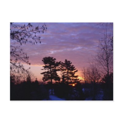 31 January 2010 by NiftyMorning