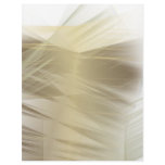31 letterhead
