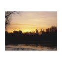 31 March 2010 postcards