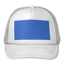 3366CC Solid Blue Background Colour Template Trucker Hats