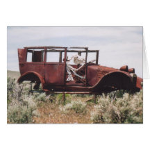 33. Caught in Traffic, Nevada Cards
