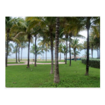 343 POSTCARD