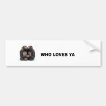 34511, WHO LOVES YA BUMPER STICKERS