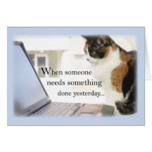 3588 Admin Pro Cat Computer, Humour Card