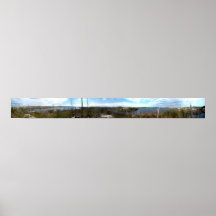 360_Seagull Posters