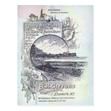 36 Advertising Postcard