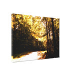 36x24 Wrapped Canvas - photo wooded walkway Stretched Canvas Prints