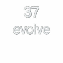 37 evolve embroidered hoodie