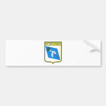 37o Stormo Bumper Sticker