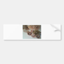 381839_345189655494060_100000090857744_1426284_159 BUMPER STICKERS