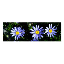 3 blue suns business card