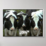 3 cow posters