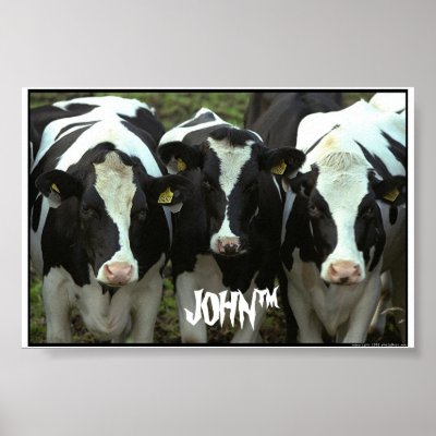 3 cow print by chikenguy1313