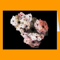 3-D Floral Fractal Art cards