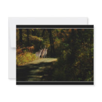3 DEER