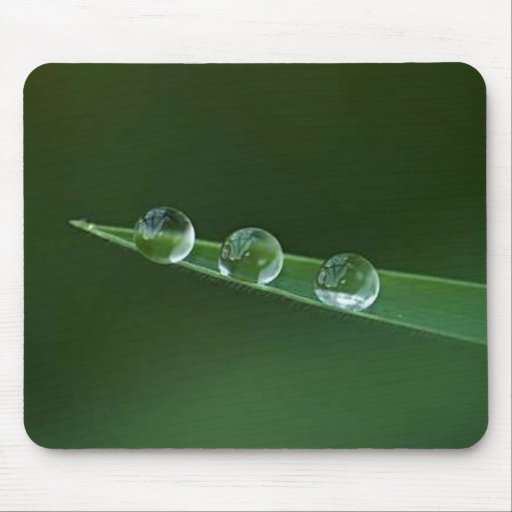 3 dewdrops mouse mats