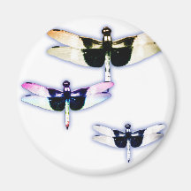 3 dragonflies fridge magnet