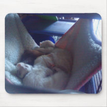 3 ferrets sleeping mouse pads