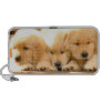3 Golden Retriever Puppies Speaker