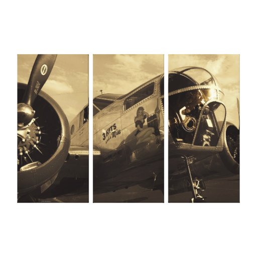 3 HITS and a Miss Stretched Canvas Print