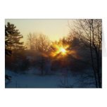 3 January 2010 Cards