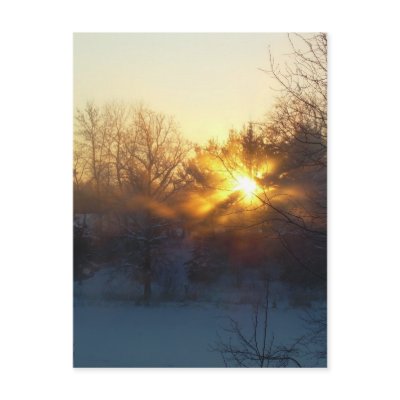 3 January 2010 Post Cards by NiftyMorning