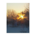3 January 2010 Post Cards