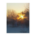 3 January 2010 postcards
