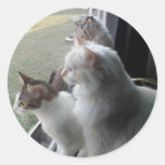 3 kitties at the window stickers